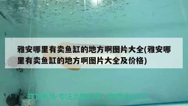 雅安哪里有賣魚缸的地方啊圖片大全(雅安哪里有賣魚缸的地方啊圖片大全及價(jià)格) 觀賞龜/鱉飼料