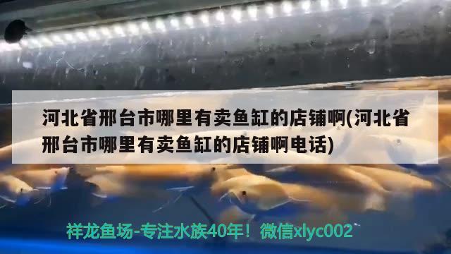 河北省邢臺市哪里有賣魚缸的店鋪啊(河北省邢臺市哪里有賣魚缸的店鋪啊電話)