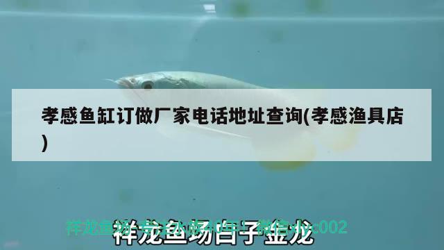 孝感魚缸訂做廠家電話地址查詢(孝感漁具店)