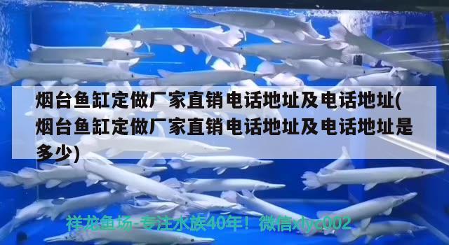 煙臺魚缸定做廠家直銷電話地址及電話地址(煙臺魚缸定做廠家直銷電話地址及電話地址是多少)