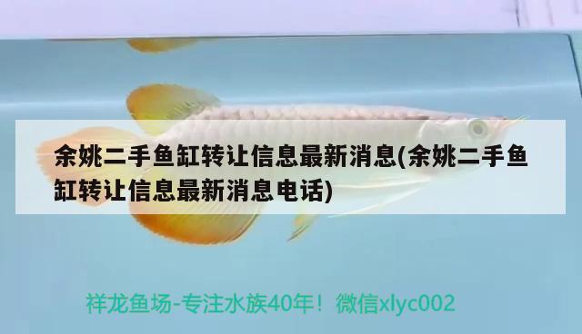 余姚二手魚(yú)缸轉(zhuǎn)讓信息最新消息(余姚二手魚(yú)缸轉(zhuǎn)讓信息最新消息電話(huà)) 羅漢魚(yú)