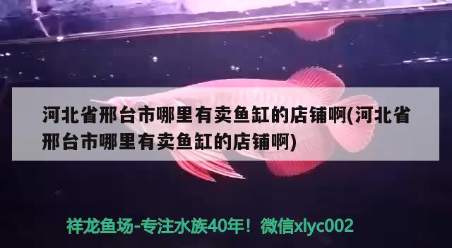 河北省邢臺市哪里有賣魚缸的店鋪啊(河北省邢臺市哪里有賣魚缸的店鋪啊)