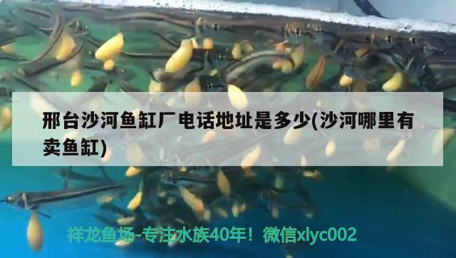 邢臺(tái)沙河魚缸廠電話地址是多少(沙河哪里有賣魚缸) 觀賞魚市場(chǎng)