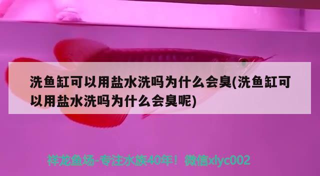 洗魚缸可以用鹽水洗嗎為什么會臭(洗魚缸可以用鹽水洗嗎為什么會臭呢) 黑白雙星