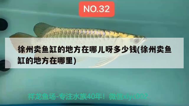 徐州賣魚缸的地方在哪兒呀多少錢(徐州賣魚缸的地方在哪里)