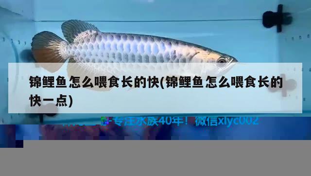 自己加工魚缸石頭(石子魚缸工藝)