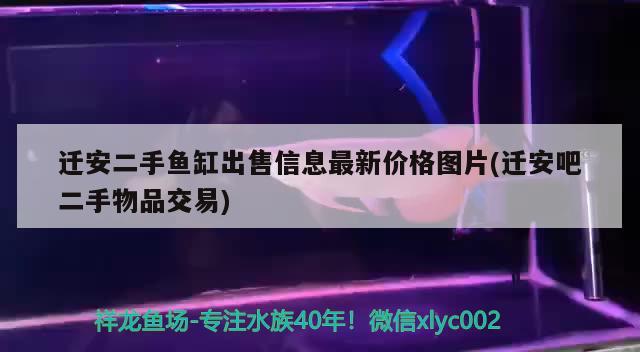 遷安二手魚缸出售信息最新價格圖片(遷安吧二手物品交易) 鴨嘴鯊魚