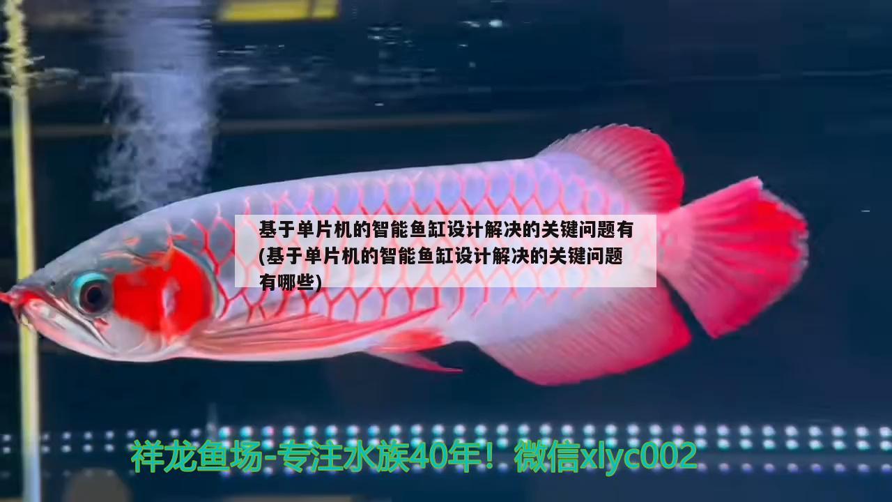 基于單片機(jī)的智能魚缸設(shè)計(jì)解決的關(guān)鍵問題有(基于單片機(jī)的智能魚缸設(shè)計(jì)解決的關(guān)鍵問題有哪些) 高背金龍魚