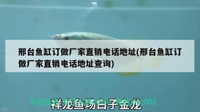 邢臺魚缸訂做廠家直銷電話地址(邢臺魚缸訂做廠家直銷電話地址查詢) 南美異型魚