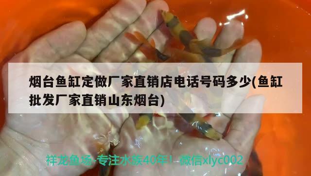 煙臺(tái)魚缸定做廠家直銷店電話號(hào)碼多少(魚缸批發(fā)廠家直銷山東煙臺(tái))