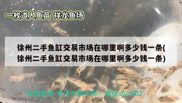 徐州二手魚缸交易市場在哪里啊多少錢一條(徐州二手魚缸交易市場在哪里啊多少錢一條)