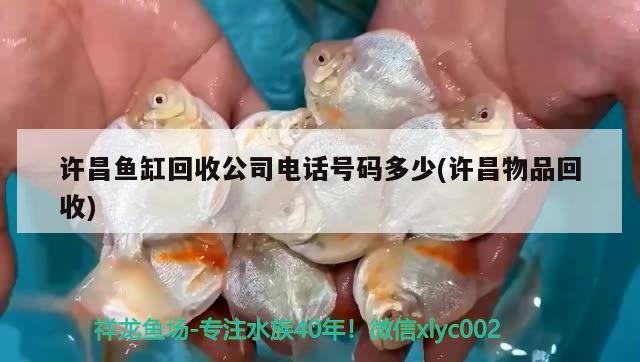 許昌魚缸回收公司電話號(hào)碼多少(許昌物品回收) 紅龍專用魚糧飼料