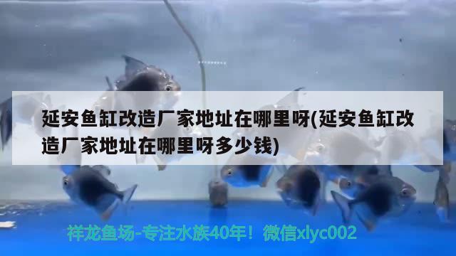 延安魚缸改造廠家地址在哪里呀(延安魚缸改造廠家地址在哪里呀多少錢)