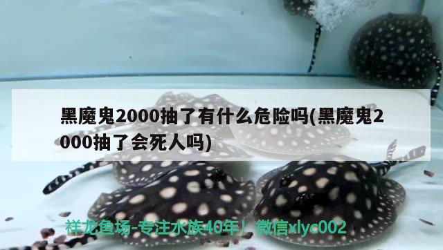 黑魔鬼2000抽了有什么危險嗎(黑魔鬼2000抽了會死人嗎)