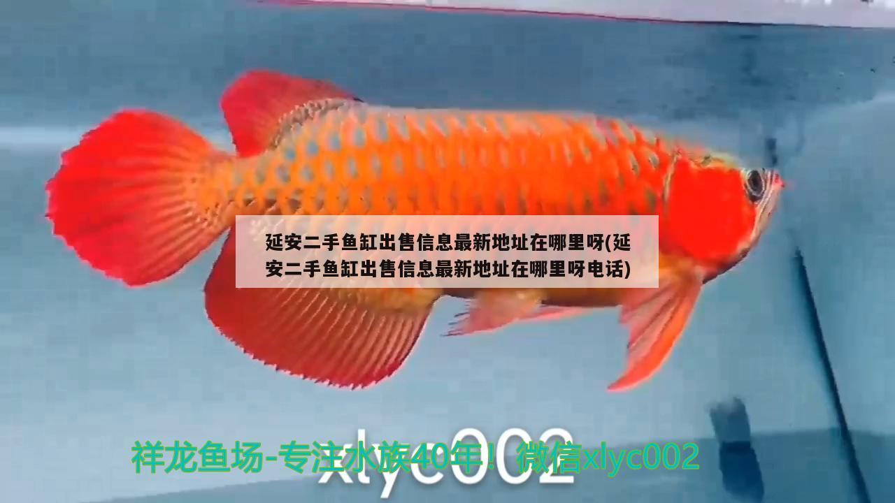 延安二手魚缸出售信息最新地址在哪里呀(延安二手魚缸出售信息最新地址在哪里呀電話) 定時器/自控系統(tǒng)