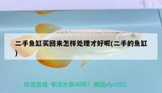 二手魚缸買回來怎樣處理才好呢(二手的魚缸) 藍(lán)帆三間魚