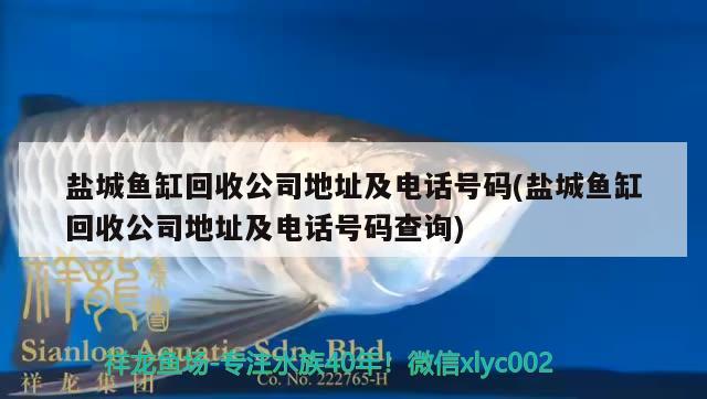 鹽城魚缸回收公司地址及電話號碼(鹽城魚缸回收公司地址及電話號碼查詢) 錦鯉池魚池建設