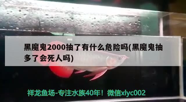 黑魔鬼2000抽了有什么危險嗎(黑魔鬼抽多了會死人嗎)