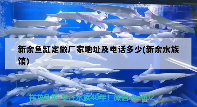 新余魚缸定做廠家地址及電話多少(新余水族館)