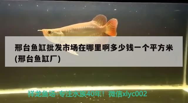 邢臺魚缸批發(fā)市場在哪里啊多少錢一個(gè)平方米(邢臺魚缸廠)