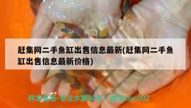 趕集網二手魚缸出售信息最新(趕集網二手魚缸出售信息最新價格)