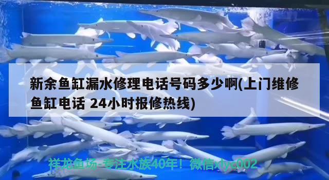 新余魚缸漏水修理電話號碼多少啊(上門維修魚缸電話24小時(shí)報(bào)修熱線)