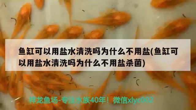 魚缸可以用鹽水清洗嗎為什么不用鹽(魚缸可以用鹽水清洗嗎為什么不用鹽殺菌)