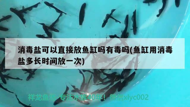 消毒鹽可以直接放魚缸嗎有毒嗎(魚缸用消毒鹽多長時間放一次) 白化火箭魚