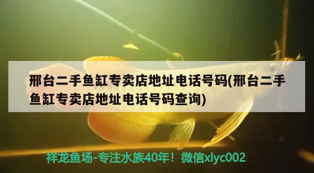 邢臺二手魚缸專賣店地址電話號碼(邢臺二手魚缸專賣店地址電話號碼查詢) 祥龍龍魚魚糧