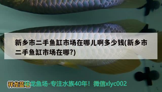 新鄉(xiāng)市二手魚缸市場在哪兒啊多少錢(新鄉(xiāng)市二手魚缸市場在哪?)