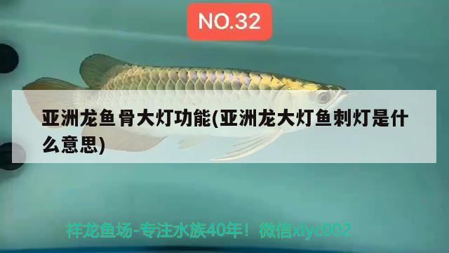 亞洲龍魚骨大燈功能(亞洲龍大燈魚刺燈是什么意思)