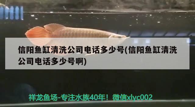 信陽魚缸清洗公司電話多少號(信陽魚缸清洗公司電話多少號啊)