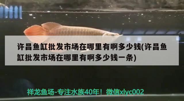 許昌魚缸批發(fā)市場在哪里有啊多少錢(許昌魚缸批發(fā)市場在哪里有啊多少錢一條) 巴西亞魚