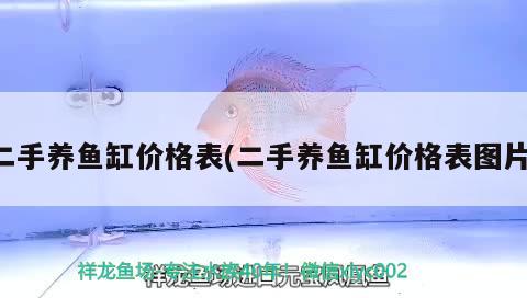 二手養(yǎng)魚缸價(jià)格表(二手養(yǎng)魚缸價(jià)格表圖片)