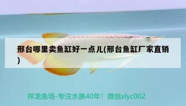 邢臺(tái)哪里賣魚缸好一點(diǎn)兒(邢臺(tái)魚缸廠家直銷) 白子關(guān)刀魚苗