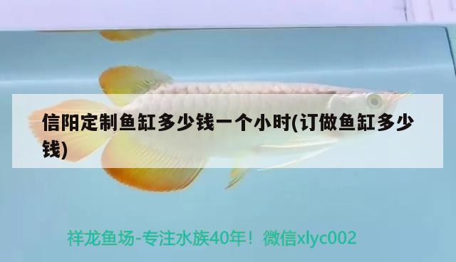 信陽定制魚缸多少錢一個小時(訂做魚缸多少錢)