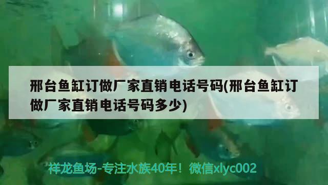 邢臺魚缸訂做廠家直銷電話號碼(邢臺魚缸訂做廠家直銷電話號碼多少) 錦鯉魚百科