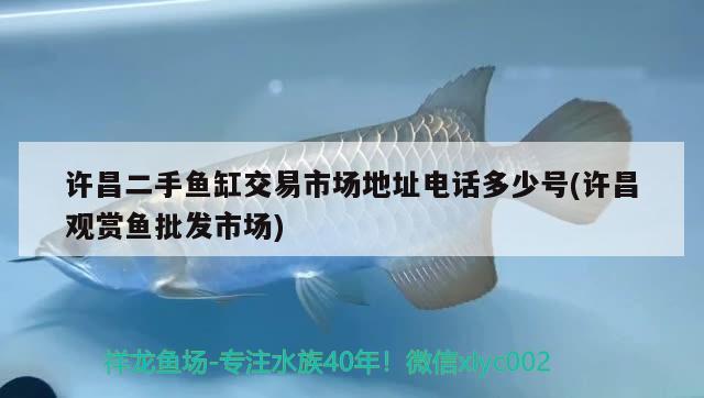 許昌二手魚缸交易市場地址電話多少號(許昌觀賞魚批發(fā)市場)