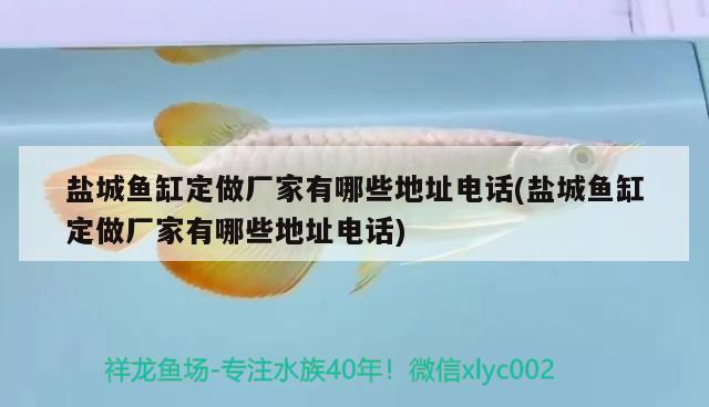 鹽城魚(yú)缸定做廠家有哪些地址電話(鹽城魚(yú)缸定做廠家有哪些地址電話)