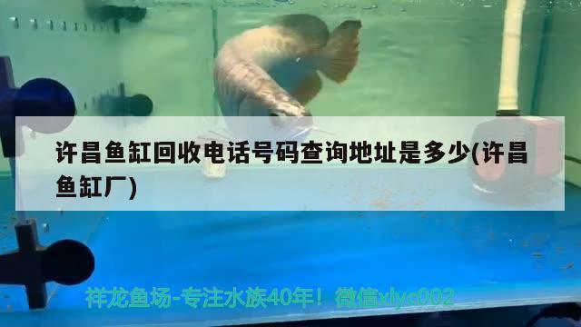 許昌魚缸回收電話號碼查詢地址是多少(許昌魚缸廠) 雙線側魚