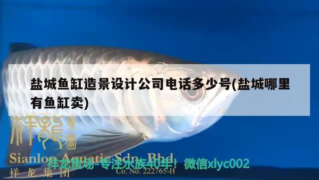 鹽城魚缸造景設(shè)計公司電話多少號(鹽城哪里有魚缸賣) 祥龍水族濾材/器材