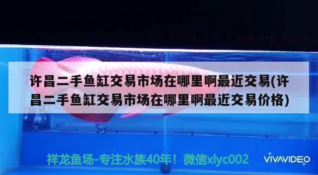 許昌二手魚缸交易市場在哪里啊最近交易(許昌二手魚缸交易市場在哪里啊最近交易價格)