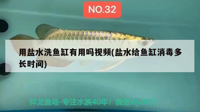 用鹽水洗魚缸有用嗎視頻(鹽水給魚缸消毒多長時間) 財神鸚鵡魚