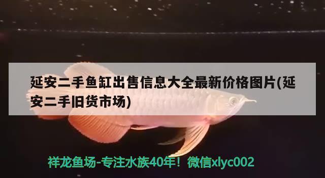 延安二手魚缸出售信息大全最新價(jià)格圖片(延安二手舊貨市場(chǎng))