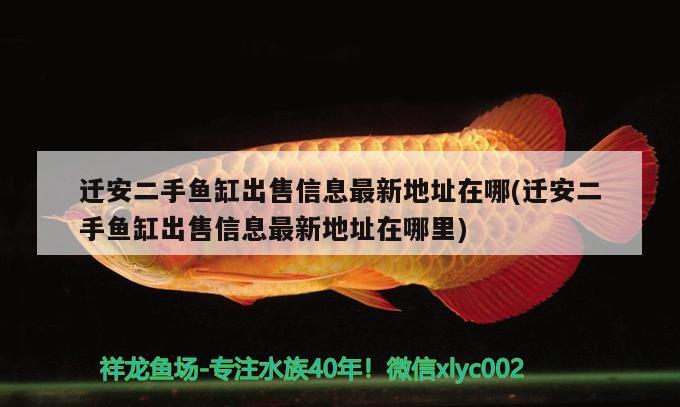 遷安二手魚缸出售信息最新地址在哪(遷安二手魚缸出售信息最新地址在哪里) 稀有紅龍品種