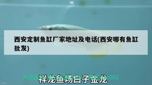 西安定制魚(yú)缸廠家地址及電話(西安哪有魚(yú)缸批發(fā))