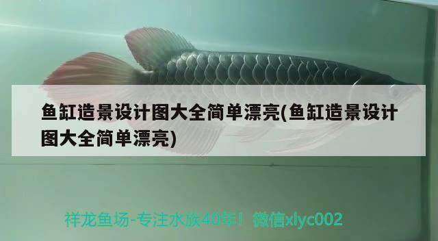 魚缸造景設計圖大全簡單漂亮(魚缸造景設計圖大全簡單漂亮) 魚缸清潔用具