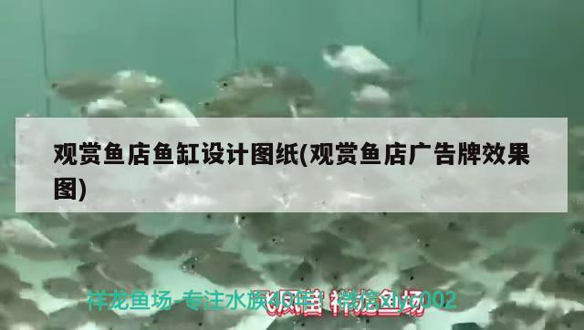 觀賞魚店魚缸設(shè)計(jì)圖紙(觀賞魚店廣告牌效果圖) 水族雜談