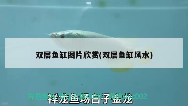 雙層魚缸圖片欣賞(雙層魚缸風水)