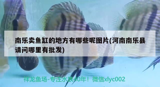 南樂賣魚缸的地方有哪些呢圖片(河南南樂縣請問哪里有批發(fā))